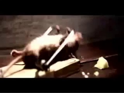 СМЕЯЛСЯ ВЕСЬ ДЕНЬ!!! ПОЗИТИВ ГАРАНТИРОВАН!!!!