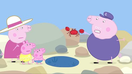 Peppa Pig - Rock Pools (Clip)