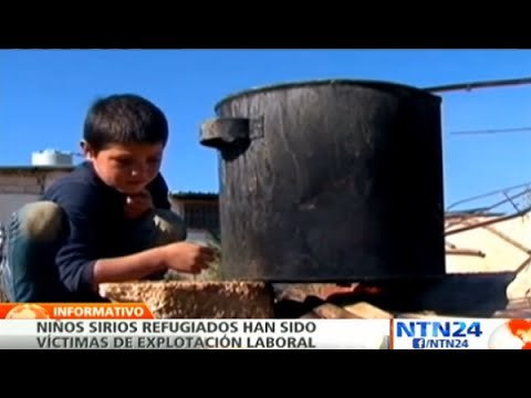 Especial NTN24 Siria entre fuegos cruzados : La cruda realidad que viven los sirios refugiados
