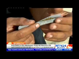 Retrasos en la puesta en marcha de la comercialización de la marihuana en Uruguay