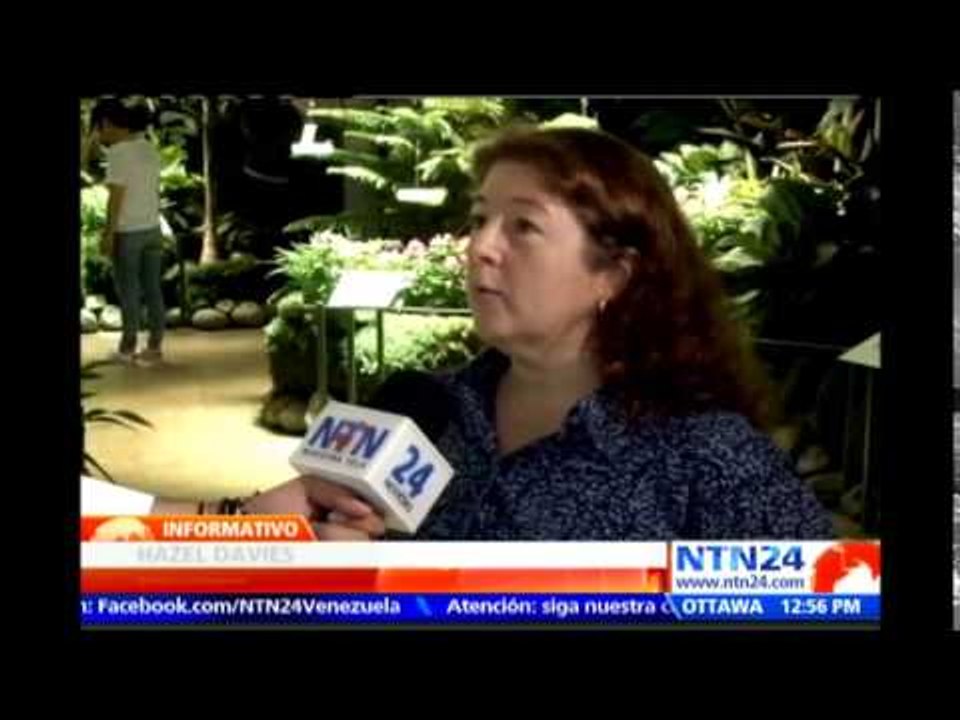 Las mariposas se toman el Museo Americano de Historia Natural en Nueva York