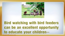 Enjoy Bird Watching With Bird Feeders