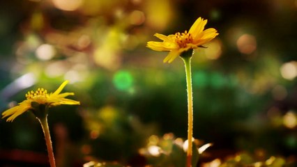 Say Hello To Tomorrow