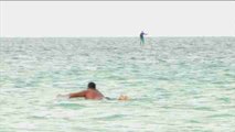 Las playas de Miami Beach en alerta por la migración de tiburones