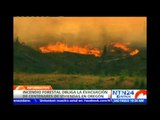 Declaran alerta roja en Estados Unidos tras incendio forestal en Oregón
