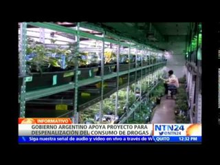 Gobierno argentino estudia la posibilidad de despenalizar el consumo y producción de drogas
