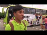 Innovador servicio en Hong Kong permite a los perros viajar en autobús