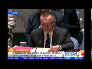 Consejo de Seguridad de la ONU pide investigación independiente por siniestro de avión en Ucrania