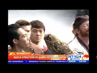 Conozca la nueva atracción de Harry Potter en Japón