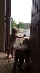 Voici ce qui se passe quand papa rentre à la maison !