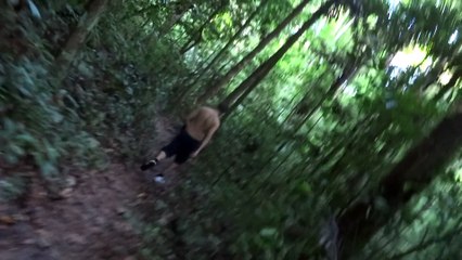 Oups - sentier de la montagne des singes - Kourou