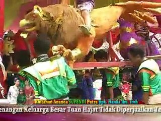 singa dangdut @ Seni Burok CAHAYA BUDAYA Pabedilan Cirebon Clip HVS Vision