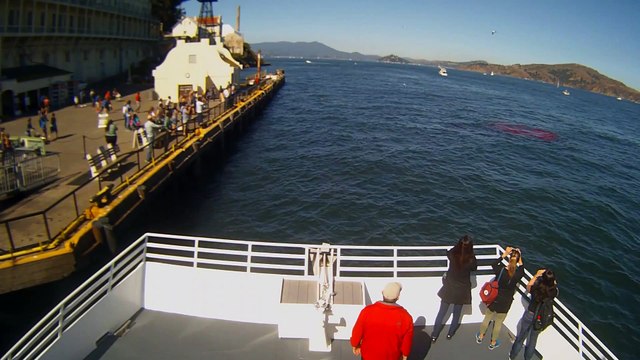 First ever recorded Great White Shark attack inside the SF Bay