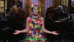 Miley Cyrus Monologue - SNL Saturday Night Live Tv Shows On Fantastic Videos