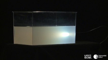 Bleu du ciel et soleil couchant