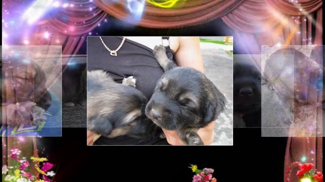 наш любимый Мосенька,друг,которого больше нет