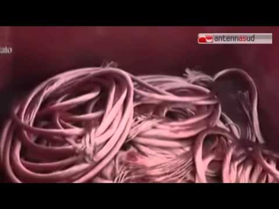 Tg Antenna Sud -  Ancora furti di rame, ferrovie del nord barese in tilt