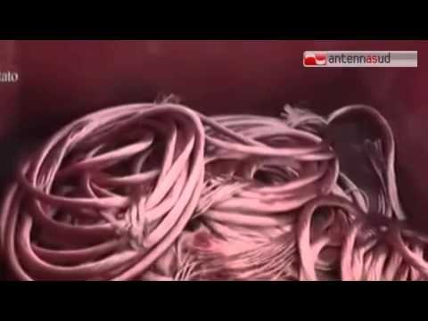 Tg Antenna Sud - Ancora furti di rame, ferrovie del nord barese in tilt