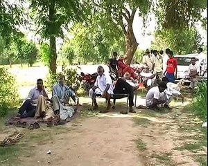 USTAD RAJA KAKA, pakistani pigeons