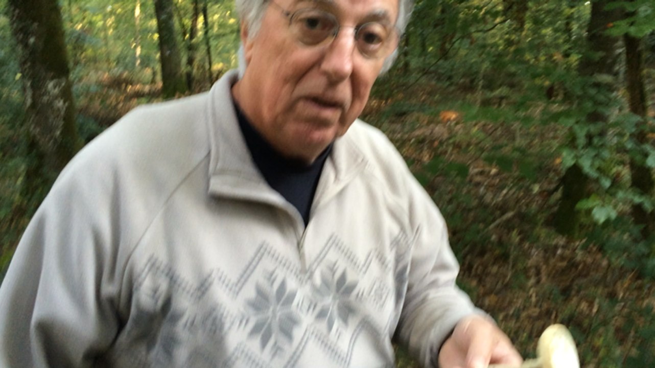 Le mycologue Jean-Pierre Dubus explique comment identifier un champignon