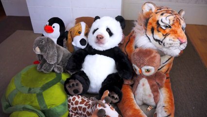 Un chien déguisé en panda mange une glace