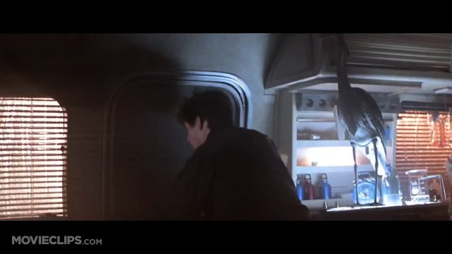 Femmes dans les films d'action : Tomb Raider