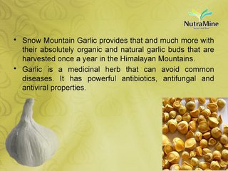 Benefits of Snow Mountain Garlic