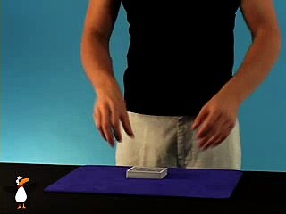 Profesyonel Sihirbazlık numaraları Magic 44