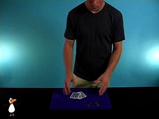 Profesyonel Sihirbazlık numaraları Magic 48