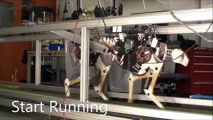 Ученые создали робота-гиганта, вдохновленного гепардом