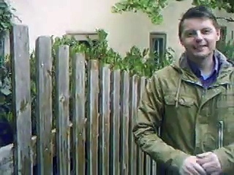 Thomas seine Tv Shows