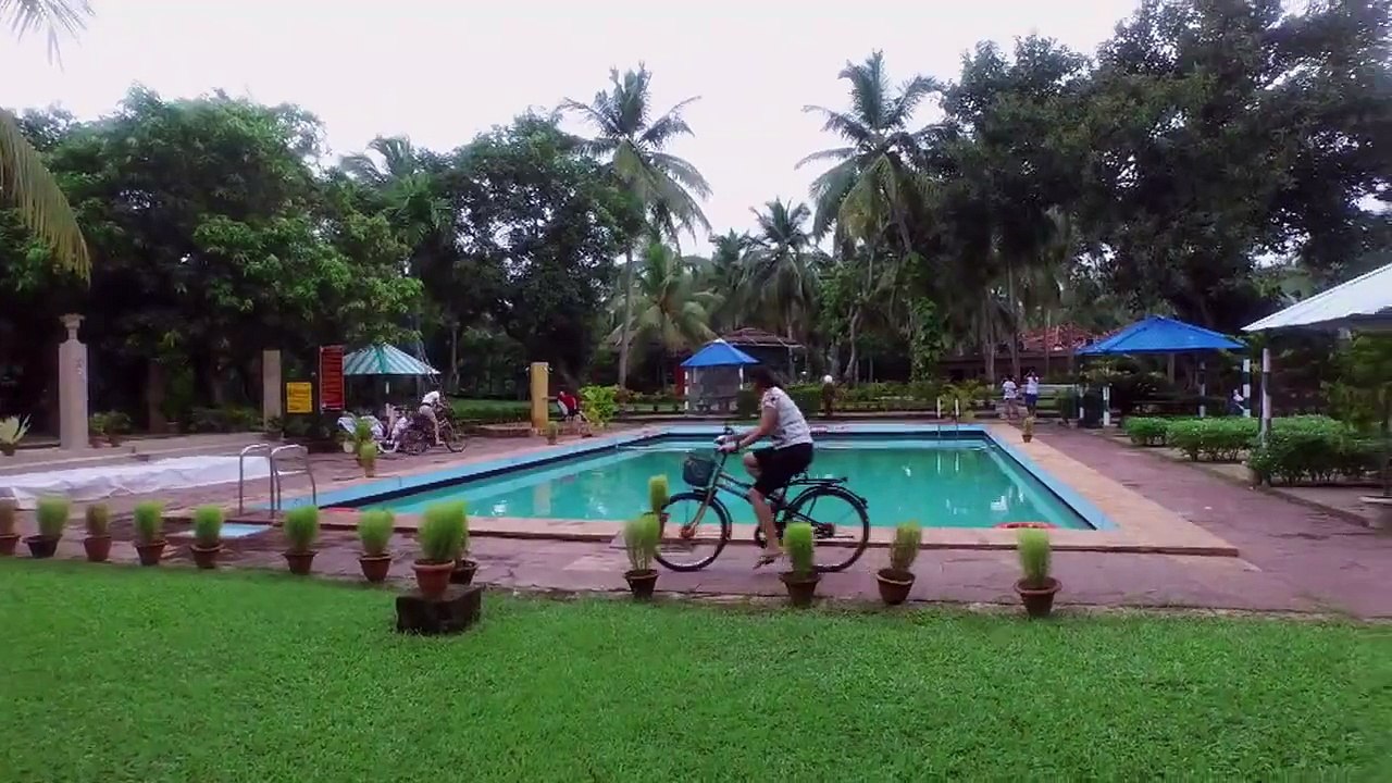 Random Monsoon Joy