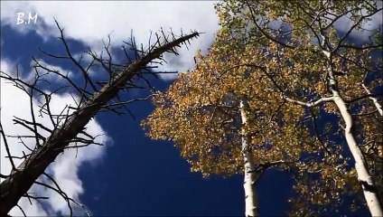 Η Δεκάρα --- Πέννυ Μπαλτατζή & The Swingin’ Cats