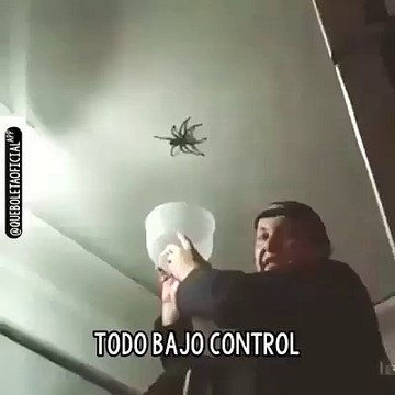 Quest'uomo ce la mette tutta, ma il ragno fa qualcosa di veramente spaventoso