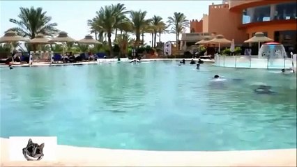 La ragazza è bellissima, ma quello che sta per fare non è sano...