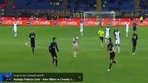 Inter - Cesena 1-1 risultato finale gol highlights Serie A