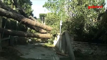 5 marzo 2015: la furia del maltempo devasta Forte dei Marmi, in Toscana