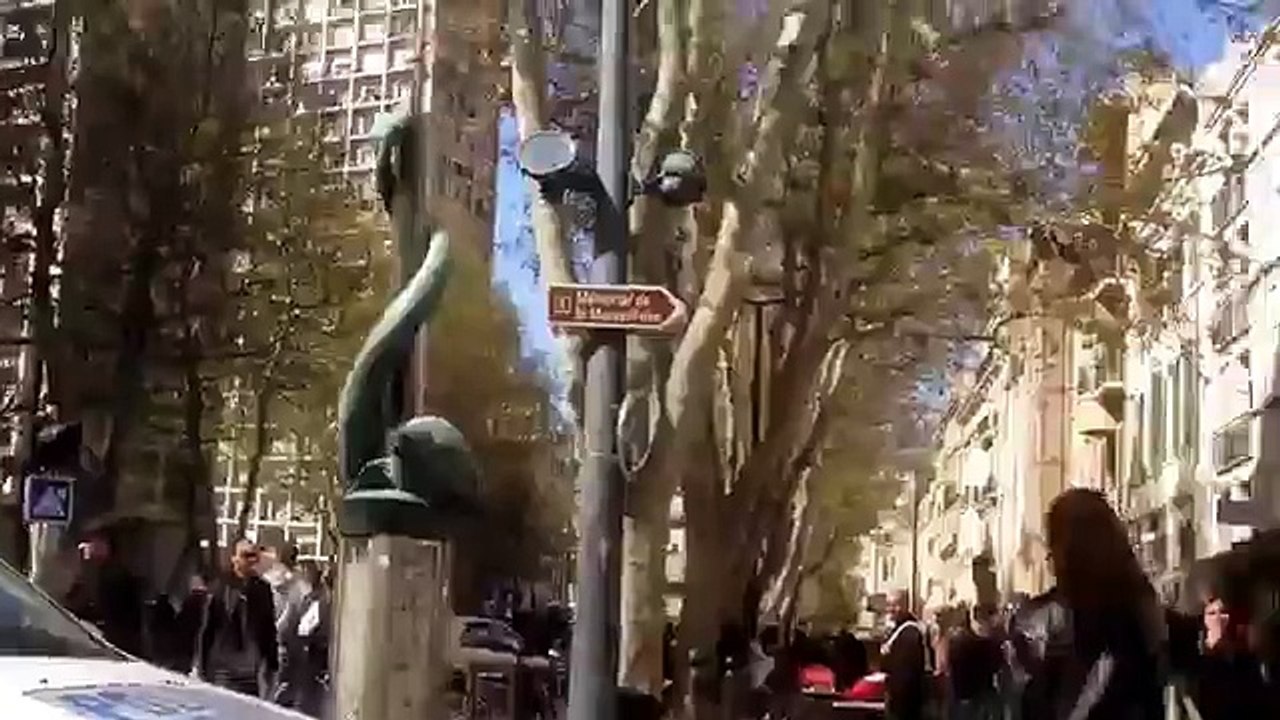 50 policiers pour virer un arabe vendeur de fruits a belsunce marseille