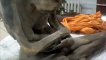Trovano una mummia dopo 200 anni: sembra viva e in trance