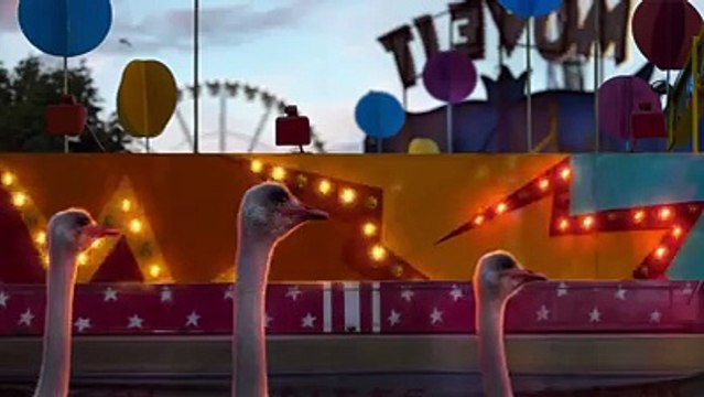 Non tutti gli animali possono volare? Dopo aver visto questo video cambierete idea