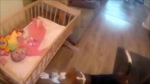 Guardate cosa fa questo cane quando sente piangere la neonata!