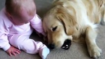 Questo bambino cerca di rubare l'osso al suo cane, troppo divertente!