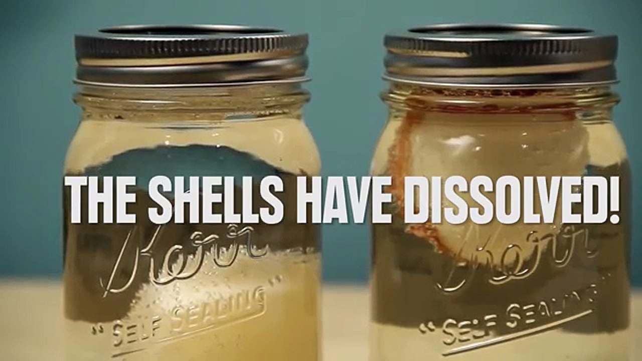 Mette una saponetta da bagno nel microonde, il risultato è sorprendente!