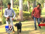 Navratri security in Ahmedabad goes to sniffer dogs - Tv9 Gujarati