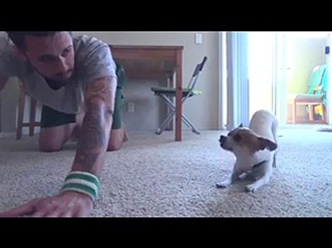 Il cane che fa Yoga col padrone