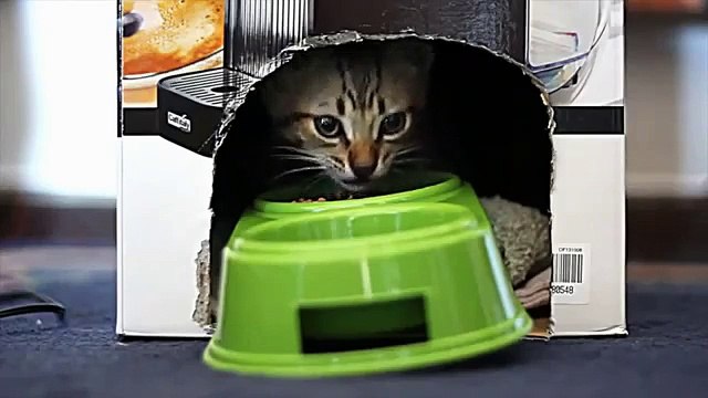 Quello che succede a queste persone è davvero imbarazzante