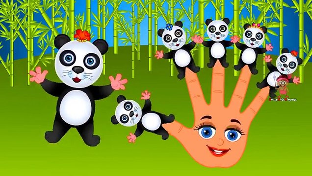 Panda Finger Family Nursery Rhyme _ Panda Cartoons Finger Family Song Rhymes for Children
