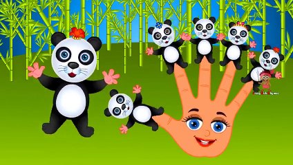 Panda Finger Family Nursery Rhyme _ Panda Cartoons Finger Family Song Rhymes for Children