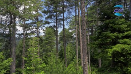 AVRA CSR 31sec 29-05-2015 1080p