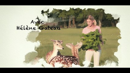 Hélène et les animaux - Teaser : le chat, meilleur ami de l’homme ?